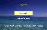 Ocean 21 - Terapii Naturiste · Dan Paunescu . Ocean21. Rab, Iulie, 2004. Autor: Prof. Univ.Dr. Valéria Szedlák-Vadócz