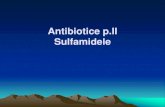 Antibiotice p.II Sulfamidele - USMF...riscul blocului. Calciul este antagonist în acest caz. Reacţii alergice • erupţii cutanate, febră, eozinofilie TETRACICLINELE - indicaţiile