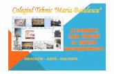 EDUCAȚIE–ARTĂ-CALITATE Baiulescu 2017.pdf · Înfiinţare în 1953 - Centrul Școlar Profesional de textile, pielărie şi cauciuc 1973 – se înfiinţează forma de învăţământ