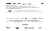 GHID DE BUNE PRACTICI - FRG - Timfrgtim.ro/154713/Ghid.pdfGHID DE BUNE PRACTICI pentru calificarea in domenii inovative pentru angajații fostelor zone industrializate din regiunile