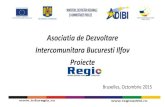 Asociatia de Dezvoltare Intercomunitara Bucuresti Ilfov Proiecte ADIBI.pdf · -Dezvoltarea şi dotarea cu echipamente a bazelor operationale pentru intervenţii în situaţii de urgenţă