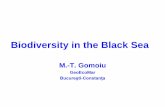 Biodiversity in the Black Sea - ibiol.ro · Marea Neagră • Evidenţierea câtorva probleme pentru un demers exploratoriu privind acţiunile viitoare • Încă o alarmare referitoare