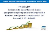 FNGCIMM Scheme de garantare în noile FNGCIMM.pdf · FNGCIMM –lider al pieței de garantare din România în ultimii 7 ani Sinteză rezultate 2014: 35.570 garanțiiindividuale acordate
