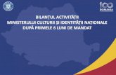 BILANȚUL ACTIVITĂȚII MINISTERULUI CULTURII ȘI ...gov.ro/fisiere/stiri_fisiere/18-08-03-03-10-53Bilant_6...2003/08/18  · Centenarul Marii Uniri-Valoare Totală proiecte aprobate-Au