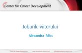 Alexandra Micu...Dezvoltator web 3.0 Profesor la distanță – educație online Piata muncii din Romania in acest moment este intr-un moment de tranzitie foarte important . ...
