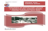 local stei/Hotarari...2020/08/20  · Strategia de dezvoltare a orașului Ștei, jud. Bihor, pentru perioada 2014 - 2020 Primăria orașului Ștei 1 CUVÂNT ÎNAINTE Strategia de dezvoltare