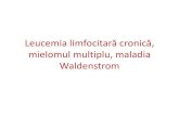 Leucemia limfocitară cronică, · 2020. 3. 18. · Leucemia limfocitară cronică •Proces limfoproliferativ •În structura hemopatiilor maligne este locul II •Vârsta 55-70