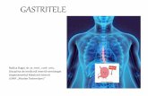 GASTRITELE · 2020. 4. 5. · - Gastrita alcoolica predilecta antrului, mucoasa la acest nivel devenind hiperemica cu edem si hemoragii. Se vindeca odata cu intreruperea consumului