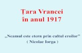 Țara Vrancei în anul 1917ccdbacau.ro/seminar1/lucrari/Gogancea_Nicoleta.pdfVeșnică recunoștință eroilor neamului •Ca semn al recunoștinței noastre veșnice, avem datoria