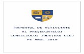 ROM A N I Aromaniacurata.ro/documente/Raport CJ Cluj 2010.doc · Web viewConsiliul Judeţean Cluj prin intermediul Serviciului Relaţii Publice asigură, în baza legii 544/2001,