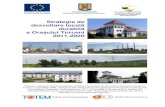 Strategia de dezvoltare locală durabilă a Oraşului Turceni ... · PO – Primăria Orașului PO DCA – Programul Operațional Dezvoltarea Capacității Administrative ... Oraşului
