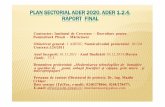 PLAN SECTORIAL ADER 1.2.4.raport final.ppt · 2019. 1. 10. · PLAN SECTORIAL ADER 2020, ADER 1.2.4. RAPORT FINAL Contractor: Institutul de Cercetare – Dezvoltare pentru Pomicultură