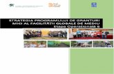 STRATEGIA PROGRAMULUI DE GRANTURI MICI AL FACILITĂȚII GLOBALE DE … OP6 Country Programme Strategy_ro_v… · 2.2. Oportunitățile de promovare a implicării semnificative a comunităților