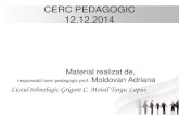 CERC PEDAGOGIC 12.12€¦ · Moment de reflectie Amintiţi-vă cum a decurs una dintre orele recent desfăşurate la clasă. Pentru această oră de curs, alegeţi, din lista de mai