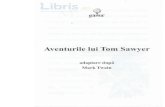 Aventurile lui Tom Sawyer - Libris.ro sa... · datorta ei este s5-1 facd om destoinic Ai s[-1 fereascd de pdcatul lenei. Aqadar, Sd nu ne mir6m cd astdzi, intr-o zi de sdmbdtS, Tom