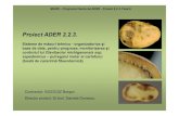 Proiect ADER 2.2.3. · MADR – Programul Sectorial ADER - Proiect 2.2.3. Faza 6 Proiect ADER 2.2.3. Sisteme de măsuri tehnico - organizatorice şi baze de date, pentru prognoza,