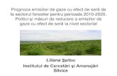 Prognoza emisiilor de gaze cu efect de seră de la sectorul ...clima.md/public/files/Constientzare/Seminare/sem2/LilianaSpitocUTS… · Pădurile sunt o verigă esenţială în ciclul