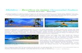 Maldive – Revelion in inima Oceanului Indian€¦ · frumoasa definitie a azuriului apelor, plaje cu un nisip ireal de fin si fierbinte, oaze ale Paradisului, presarate in atoluri