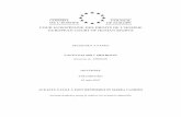 CONSEIL COUNCIL DE L’EUROPE COUR EUROPÉENNE DES …justice.md/file/CEDO_judgments/Moldova/PALADI (ro).pdf · conseil de l’europe council of europe cour europÉenne des droits