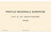 PROFILE REGIONALE EUROPENE - regionalizare.mdrap.roregionalizare.mdrap.ro/wp-content/uploads/2013/04/2aprilie_profile-r… · 2 aprilie 2013 Academia Român 2 1.Regiunea (defi nicii)