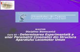 MASTER Disciplina: Biomecanică Curs VI – Determinarea ... · Curs VI – Determinarea Experimentală a unor Parametrii Cinematici din Structura Aparatului Locomotor Uman. 6.1.