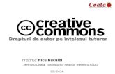 Drepturi de autor pe înțelesul tuturorfedora.nicubunu.ro/slides/ceata-creativecommons.pdf · Sa ne cunoastem drepturile Lege privind dreptul de autor si drepturile conexe TITLUL