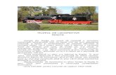 muzeul de locomotive - WordPress.comMUZEUL DE LOCOMOTIVE RESITA Uzinele din ReşiŃa au reuşit să menŃină o activitate industrială neîntreruptă timp de peste 233 ani prin adaptarea