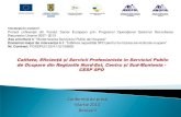 onferință de presă - artemis-alba.roartemis-alba.ro/pdf/1 martie 2014 - conferinta de presa ajofm botosani.pdf · •Raport de activitate specialiști/fișă de pontaj •Rapoarte