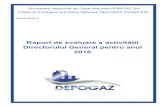 New Raport de evaluare a activității Directorului General pentru anul … evaluare... · 2019. 6. 19. · activitatea în conformitate cu legile române și Actul Constitutiv. 1.2.