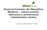 Sectorul forestier din Republica Moldova starea actuală.moldsilva.gov.md/public/files/Sectorul_forestier_din_RM...12,7 14,3 12,4 10,1 7,6 25,2 9,00 6,7 4,8 6,3 Procentul depistării