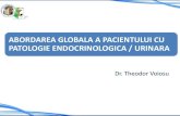ABORDAREA GLOBALA A PACIENTULUI CU PATOLOGIE .... Endocrino_urol_2020.pdf · PATOLOGIE ENDOCRINOLOGICA / URINARA. DISCLAIMER acest curs nu concureaza modulele de boli endocrine, urologie