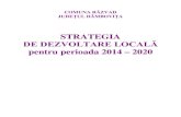 STRATEGIA DE DEZVOLTARE LOCALĂ pentru perioada 2014 – 2020comunarazvad.ro/wp-content/uploads/2013/12/SDL-Razvad-2014-202… · Strategia . de dezvoltare locală pentru perioada