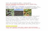 apar-romania.ro€¦  · Web viewStiri 20 octombrie 2020, a doua parte. Zeci de hectare cultivate cu roșii, ardei și vinete, DISTRUSE de grindină. 20 octombrie 2020 . Daria Diaconiuc.