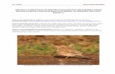 Păsările rare din România - RAPORTUL COMITETULUI DE ...rombird.ro/uploaded/tiny/files/rrc_report_2010-2014...Comitetul de Rarităţi Avifaunistice din România (CRAR) a analizat