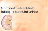 Infecţiile tractului urinar - USMF · 2020. 3. 27. · E. pidemiologia NIA • Incidenţa NIA este în creştere în ultimii ani, datorită în special expunerii la un număr tot