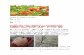 Asociatia pentru Promovarea Alimentului Romanesc · Web view2020/07/17  · familia ei, cultivarea rosiilor reprezinta o sursa buna de venit. Cu alte cuvinte, o indeletnicire profitabila.