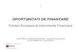 Fonduri Europene & Instrumente FinanciareROMANIA - POLITICA AGRICOLA COMUNA (2014-2020) ... (Fondul European de Investitii) pentru creditele acoordate IMM–urilor d e catre Bancile
