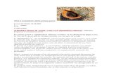 apar-romania.ro · Web view2020/10/05  · Articolul 9 privind ”Fermierul activ” din Regulamentul (UE) nr. 1307 si legislatia nationala mentioneaza si impun verificari pentru