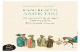 Radu Rosetti - Amintiricole politice – îndeosebi antiruseşti; dar mai cu seamă, îna inte de şirul Poveştilor moldoveneştişi al Amintirilorîn trei vo lume, câteva lucrări