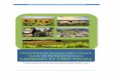 STRATEGIA DE DEZVOLTARE LOCAL G A L DOBROGEA DE NORD …galdntulcea.ro/wp-content/uploads/2017/03/3-SDL-GAL-DN... · 2017. 10. 25. · Strategia de Dezvoltare Locală GAL Dobrogea
