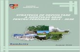 A JUDEȚULUI ARAD · 2019. 7. 3. · 5 Consiliul Județean dezvoltare a județului Arad pentru Arad perioada 2014 Strategia de-2020 MDRAP Ministerul Dezvoltării Regionale și Administrației