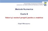 Curs 8 - ROVIS) Lab si vectori proprii.pdf · 3 Formularea problemei Proprietăți esențiale (de ex. stabilitatea) ale unor modele matematice, cunoscute sub denumirea de sisteme