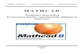 MATHCAD - University of Galațiim.ugal.ro/om/biblioteca/MathCAD-Proiectare interactiva-1...prezintă o fereastră (figura 2.1) în care se pot distinge elementele caracteristice aplicaţiilor