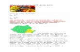 apar-romania.ro · Web view2020/09/02  · Meteorologii au emis, pentru miercuri, Cod galben de caniculă şi disconfort termic în nouă judeţe din sud-estul ţării şi în Bucureşti,