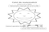 Caiet de matematică - ppneveanutm.ro · Clasa a IV-a DMS Numerele naturale de la 0 la 100 Caietul aparține (lui) ... 1 0 1 1 1 2 1 3 1 4 1 5 1 6 1 7 1 8 1 9 2 0 Z U Z U Z U Z U