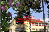 RAPORT PRIVIND STAREA ÎNVĂŢĂMÂNTULUI DIN privind... · 2019. 10. 29. · raport privind starea ÎnvĂŢĂmÂntului din liceul teoretic Șerban vodĂ slĂnic, judeȚul prahova