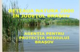 ÎN JUDEŢUL BRAȘOV - InfoNatura2000 · 2015. 9. 15. · ORD. Nr. 2387/2011 pentru modificarea Ordinului ministrului Mediului şi Dezvoltării Durabile nr. 1.964/2007 privind instituirea