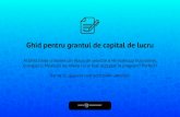 Brosura IMM Ghid Capital de Lucru - Banca Transilvania · 2021. 1. 5. · Ghid pentru grantul de capital de lucru ... de identitate vizuala pentru Instrumente Structurale 2014-2020