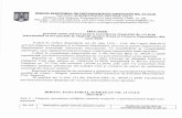 Guvernul Romaniei...2020/12/04  · DECIZIE privind unele mäsuri pentru exercitarea dreptului de vot prin intermediul urnei speciale la alegerile pentru Senat Camera Deputatilor din