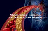 Patologia vasculară ateroscleroza, hipertensiunea arterială, … · 2020. 12. 4. · deces a aproximativ 15% dintre paciențiicu hipertensiune arterialăcronică. Localizarea mai